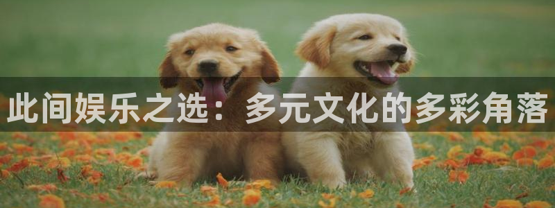 富联娱乐：此间娱乐之选：多元文化的多彩角落