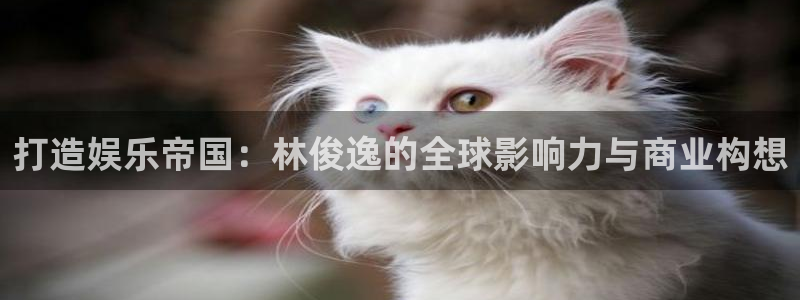 富联娱乐：打造娱乐帝国：林俊逸的全球影响力与商业构想