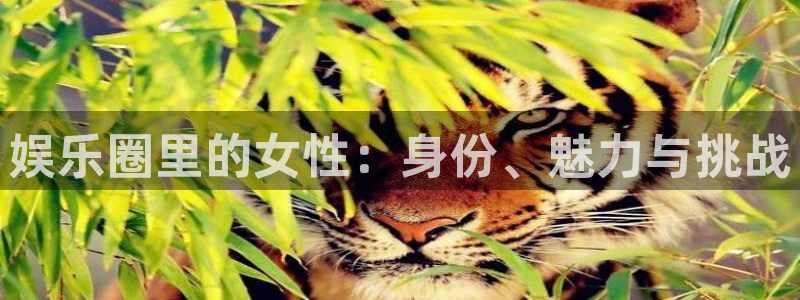 富联娱乐：娱乐圈里的女性：身份、魅力与挑战