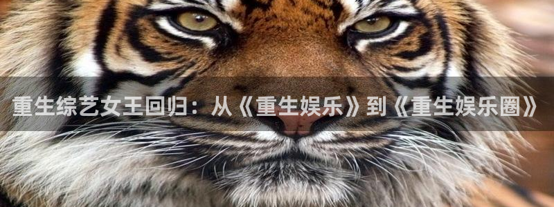 富联娱乐：重生综艺女王回归：从《重生娱乐》到《重生娱乐圈》