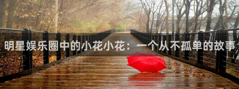 富联娱乐：明星娱乐圈中的小花小花：一个从不孤单的故事
